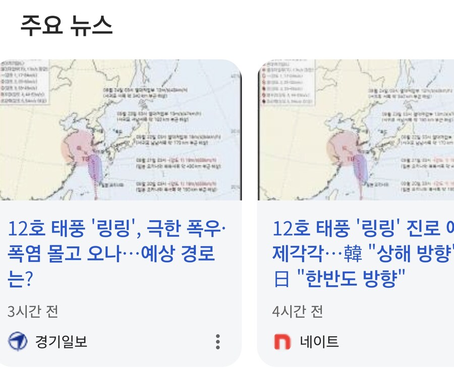 열돔으로 오지도 못하고 죽어버린 12호 태풍 링링