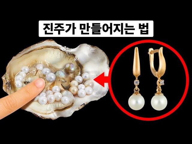 ㅇㅇㄱ)ㅇㅍㄹ들이 굴속에 진주라는 표현에 열받을 필요가 없는 이유.jpg