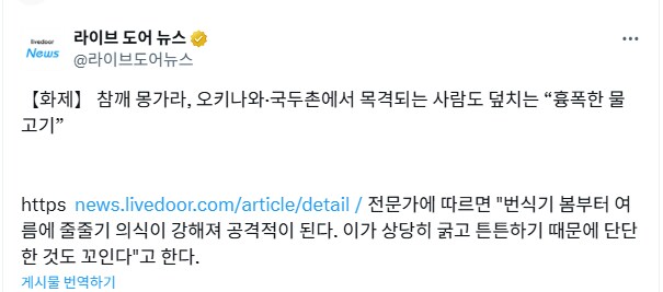 일본 바다에서 사람도 덮친다는 흉포한 물고기.jpg_1.png