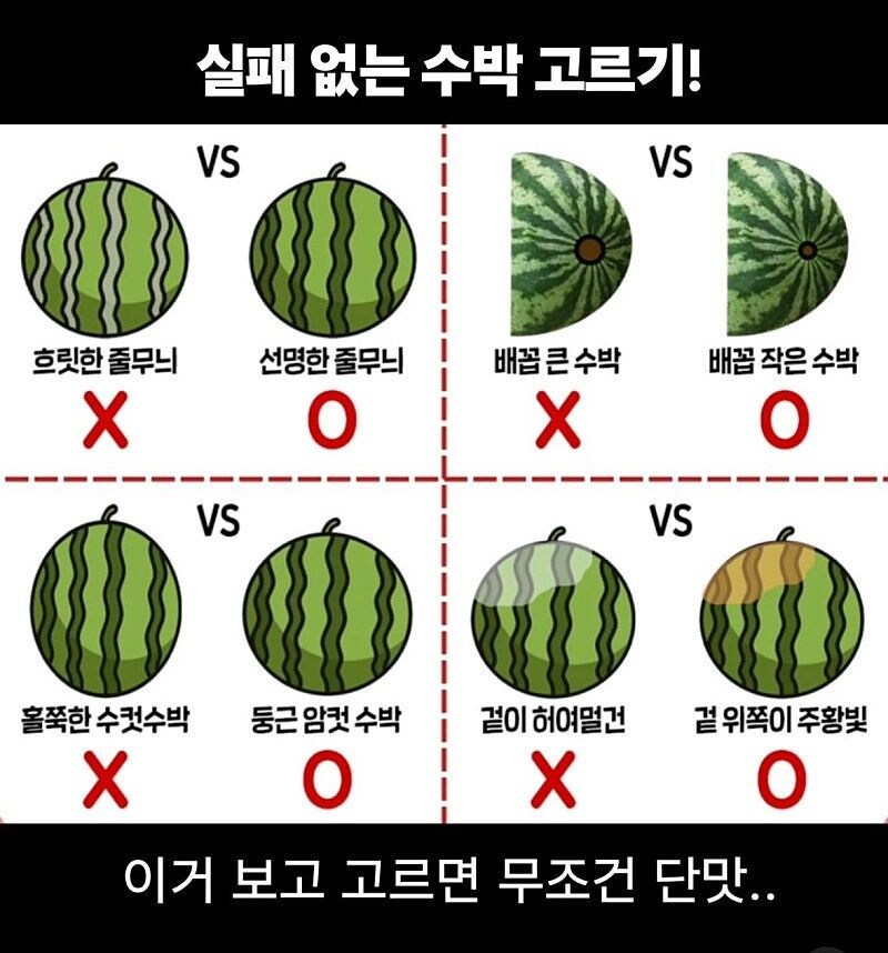 참외,수박 고르는 방법.jpg_2.jpg