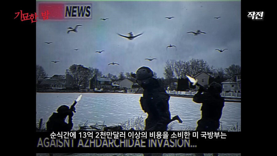 아날로그 호러 리뷰 보는데_1.png