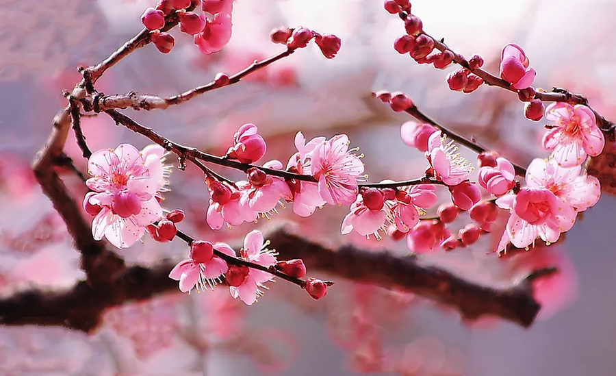 화산문학) "이 요리를 만든 녀석이 누구냐!"_1.webp