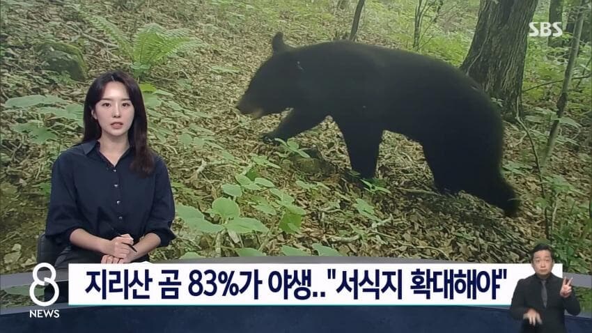 설악산에도 곰방생해야..._1.jpg