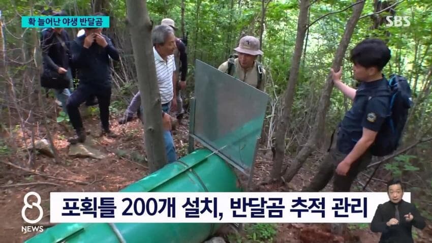 설악산에도 곰방생해야..._6.jpg