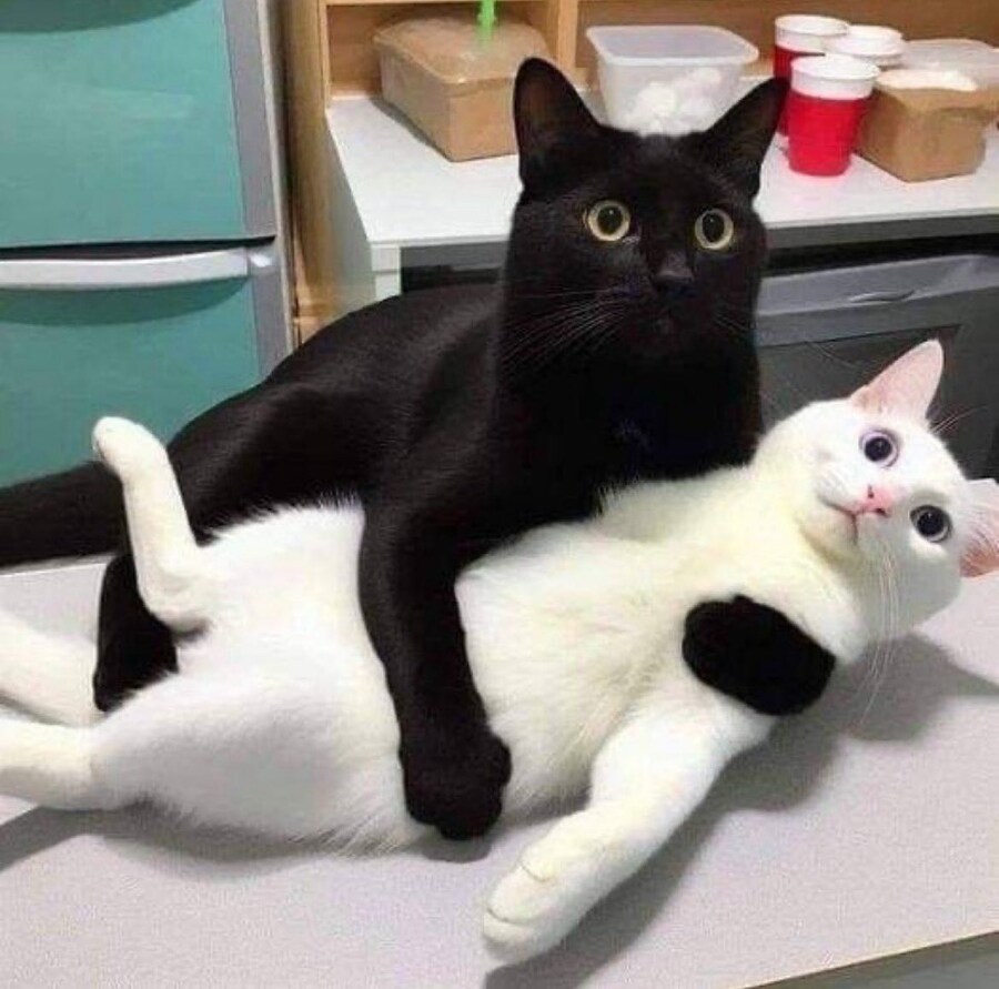 불륜현장을 들킨_1.jpg