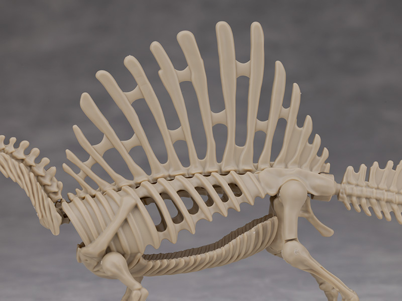 프라노사우루스 쥬라기 월드 스피노사우루스 해외 리뷰_21.jpg