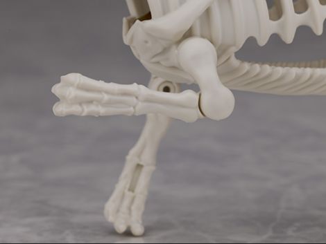 프라노사우루스 쥬라기 월드 스피노사우루스 해외 리뷰_27.jpg