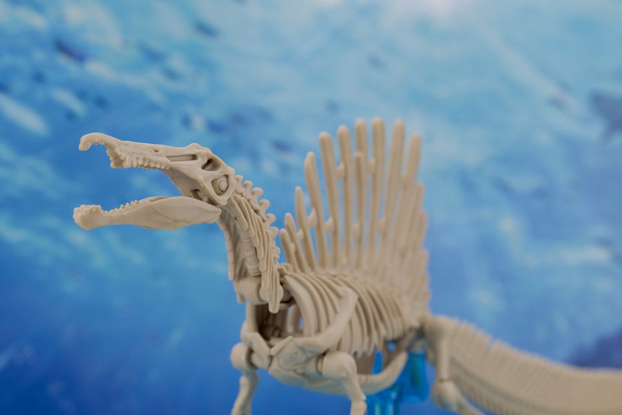 프라노사우루스 쥬라기 월드 스피노사우루스 해외 리뷰_43.jpg