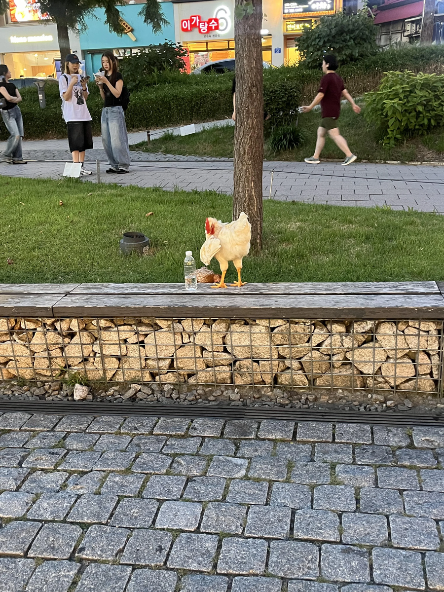 홍대 근황_1.webp