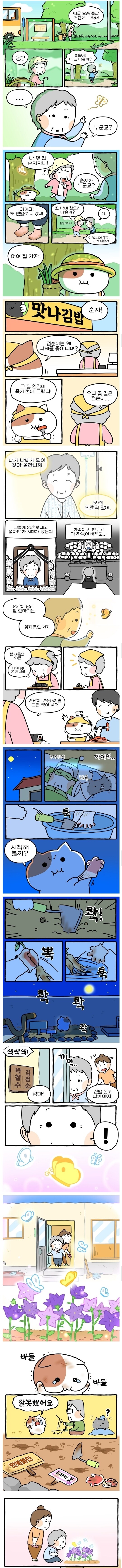 옆집 할머니가 매일 맨발로 길에 나왔던 이유.Manhwa | 인스티즈