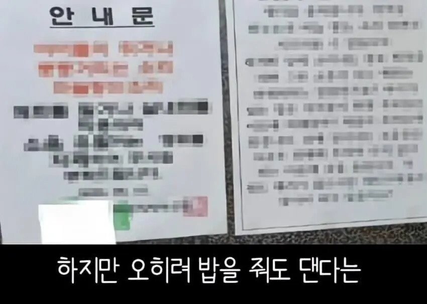 아파트에서 캣맘을 사라지게 한 묘수.JPG_8.jpg