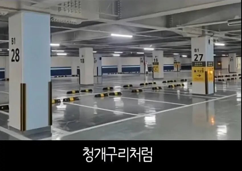 아파트에서 캣맘을 사라지게 한 묘수.JPG_10.jpg