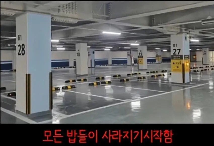 아파트에서 캣맘을 사라지게 한 묘수.JPG_11.jpg
