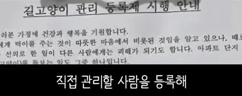 아파트에서 캣맘을 사라지게 한 묘수.JPG_13.jpg