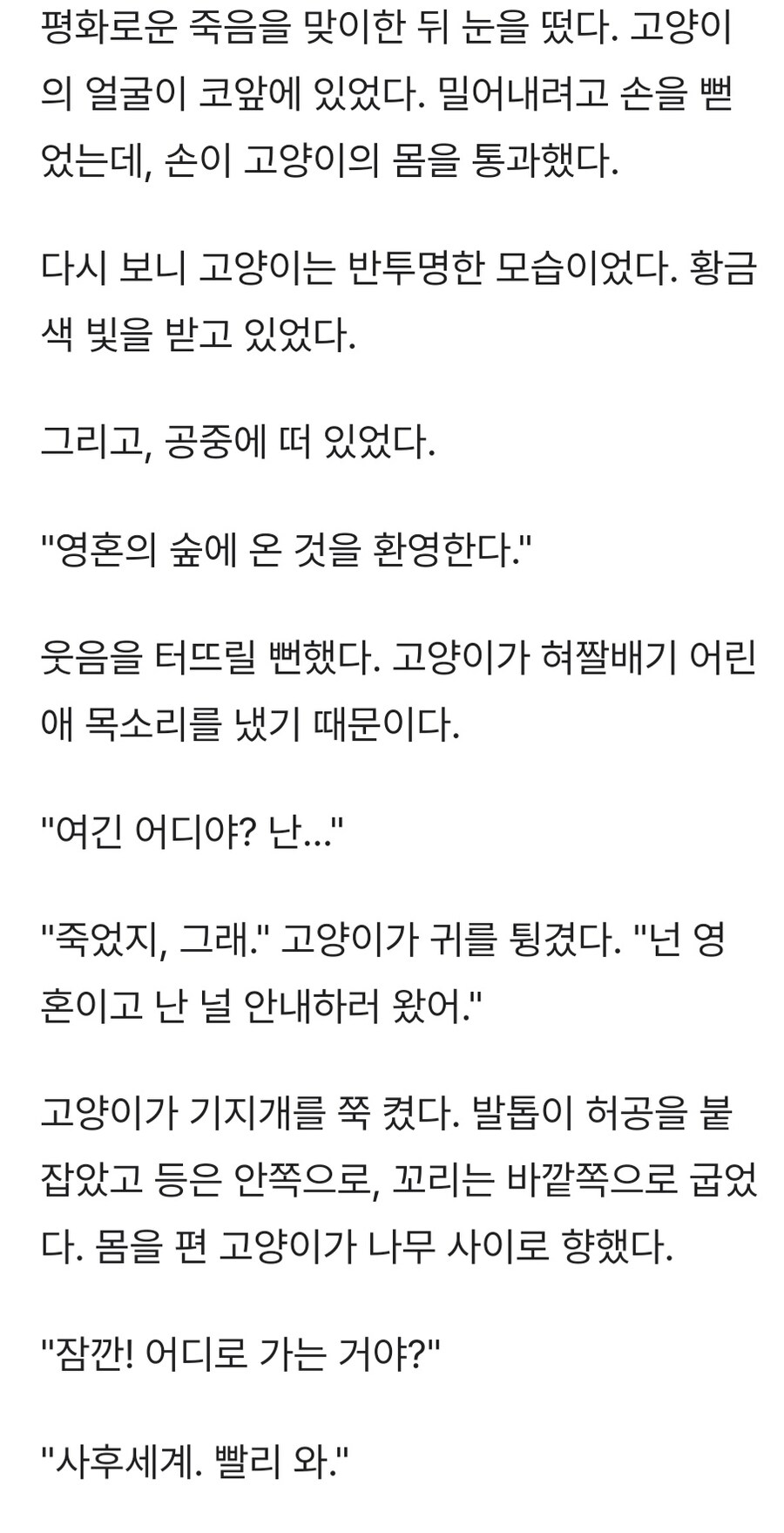 괴담) 은혜갚은 고양이_1.jpg