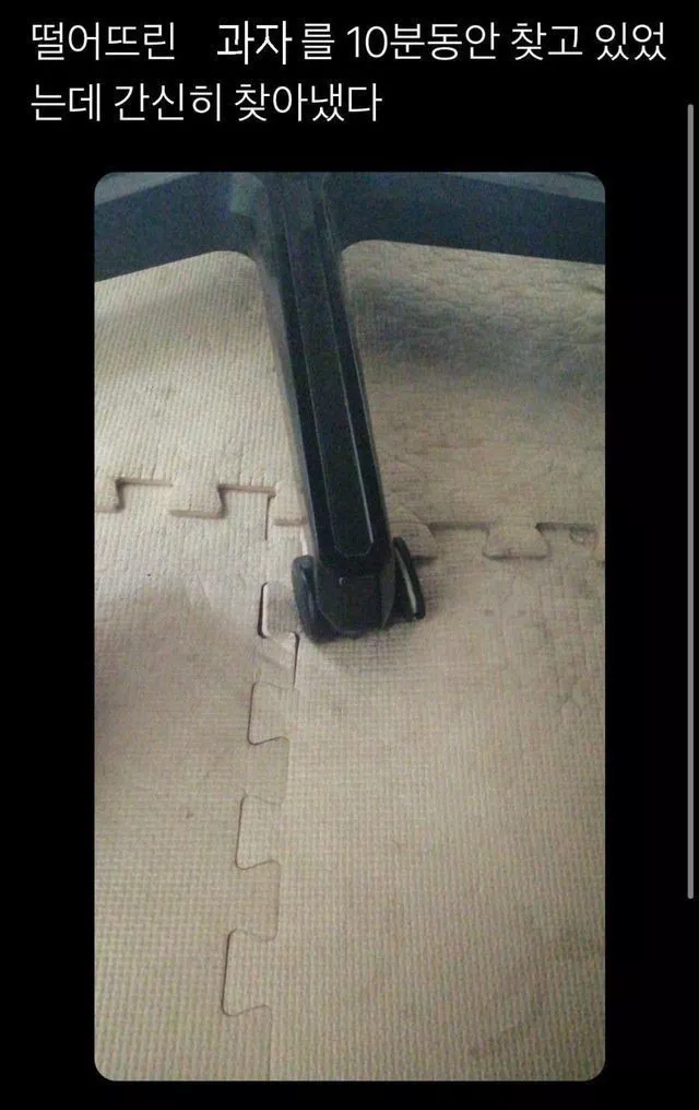 떨어진 과자를 간신히 찾은 사람 jpg._1.webp