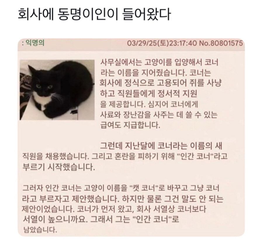 회사에 동명의 직원이 들어왔다_1.jpg