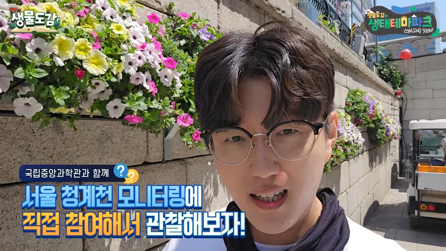 도 넘은 유튜브. 청계천에 투망질하다_3.png