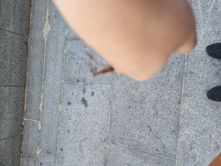 곤충) 사마귀 줍줍_4.jpg