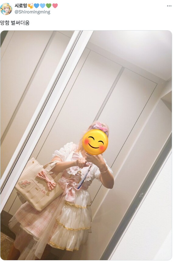 트위터하는 버스 기사.jpg_1.png