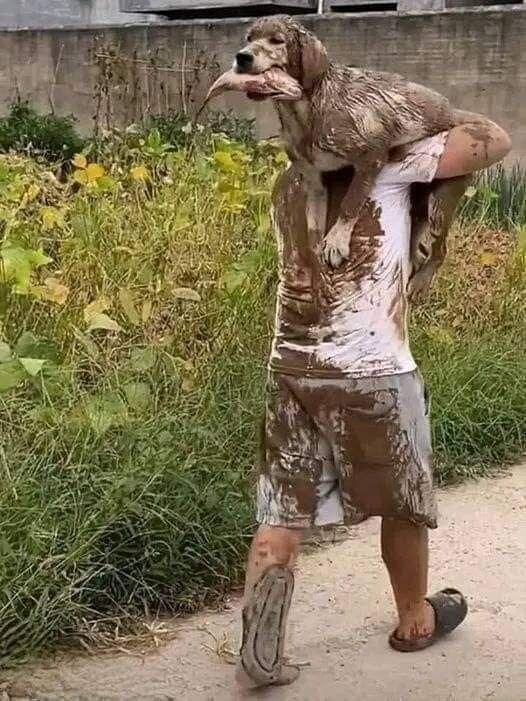진짜 사진 한장으로 모든 상황이 그려진다_1.jpg