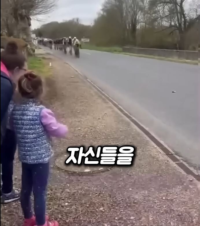 소녀팬:(오열) jpg._1.jpg
