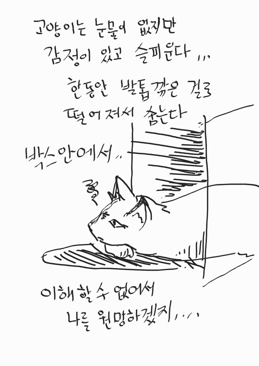 ㅅㅂ 똥꼬양이랑 대판 싸웠다 질문 안받는다_4.jpg