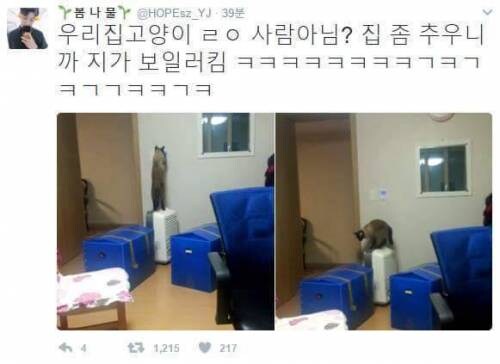똑똑한 애완동물의 무서운점_1.jpg