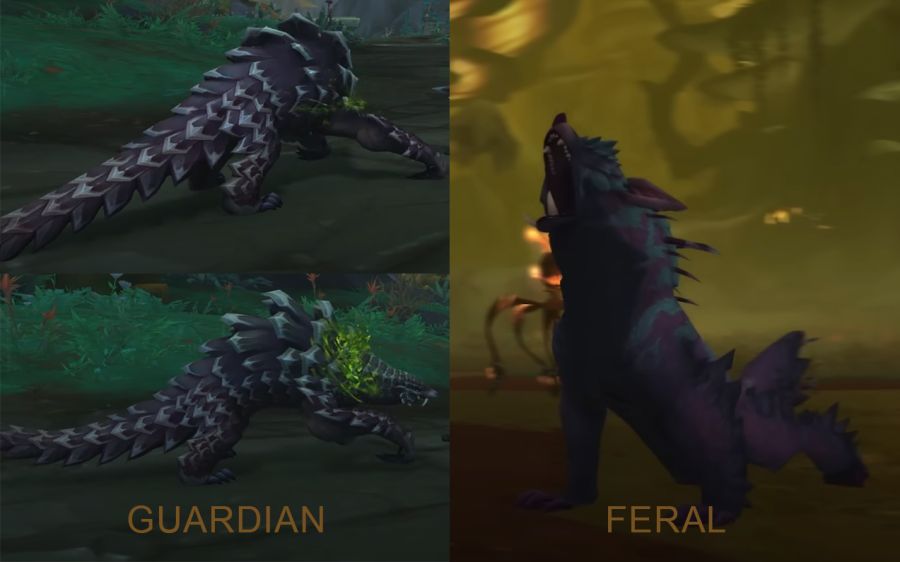 와우 한밤 하라니르 드루이드 곰 및 표범 폼 추정 모습_1.png