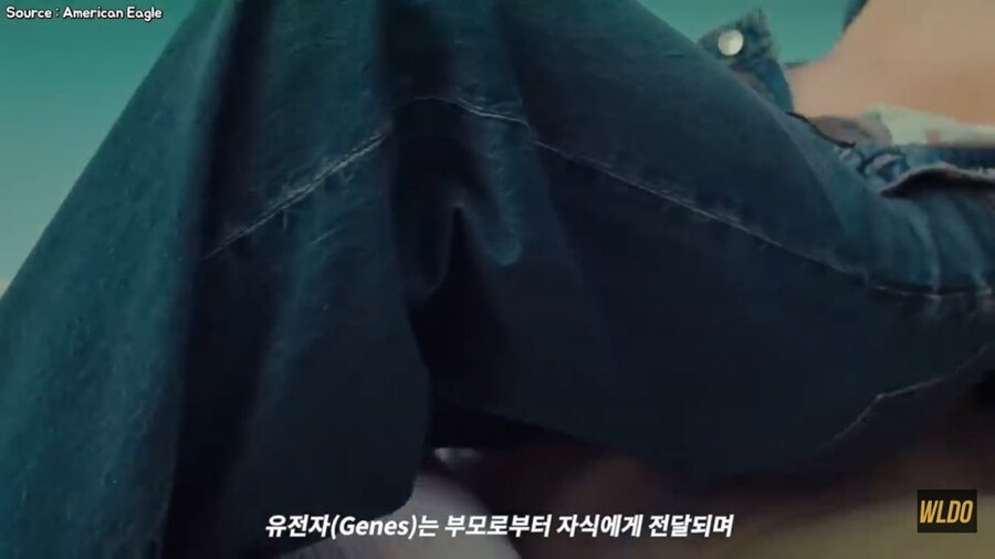 백인우월주의 우생학 청바지 논란 근황_1.jpg