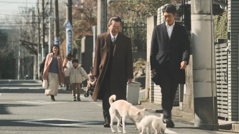 드라마 제작진 : 뭐하는거야 저 강아지들?!_2.jpg