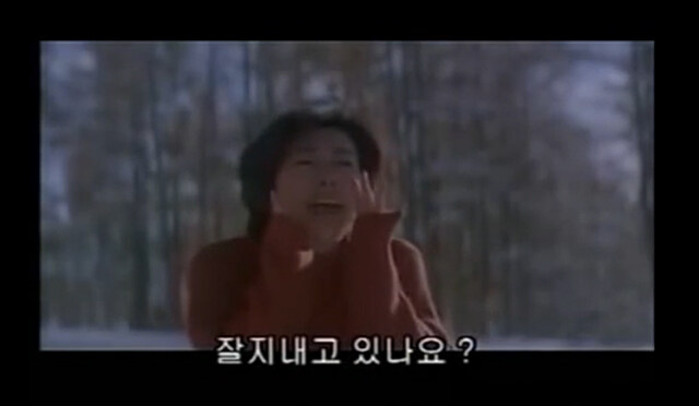 요즘 외국계 대학교 출신 어그로가 안보인다.._1.jpg