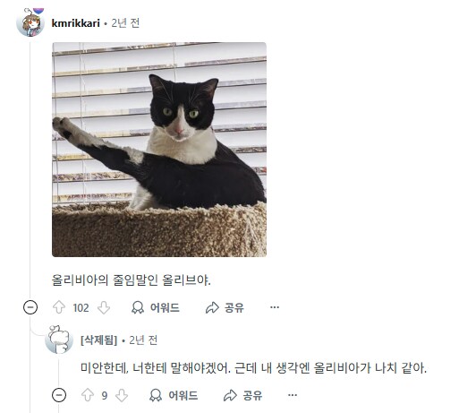 집사들아 너네가 데리고 있는 사람 이름을 가진 고양이들을 보여줘.jpg_6.png
