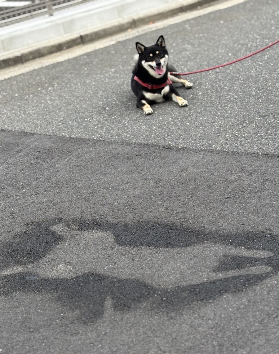 사고현장 검증_3.jpg