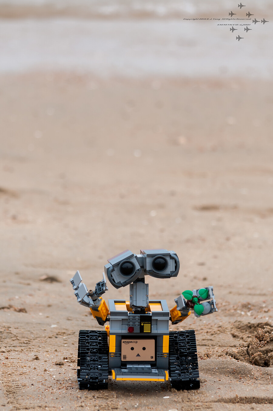 단보 사진 몇장_7.jpg