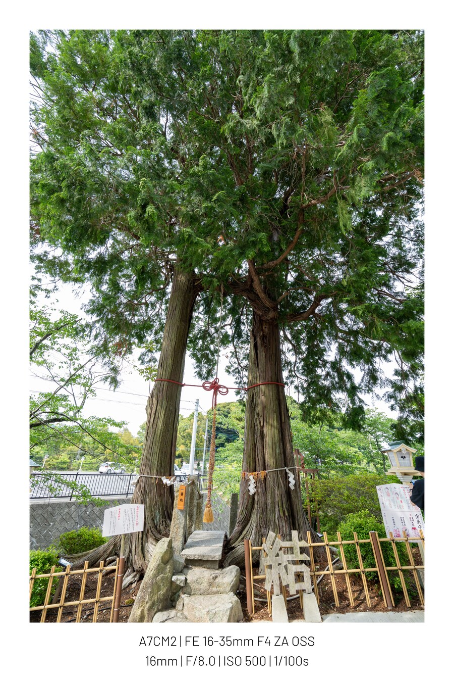 북규슈 여행기[25.05.28~06.01] - 1일차, SAGA!_32.jpg