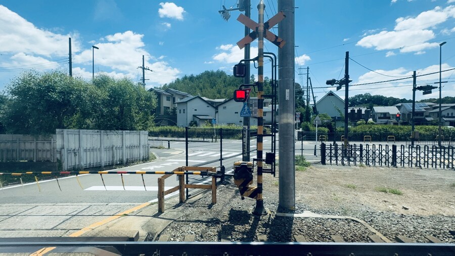 올해 여름휴가때도 곰은 못봄_7.jpg