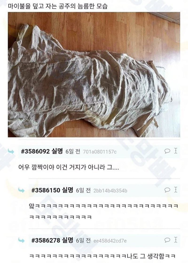 고급 이불 얻어와서 덮는데 동생이 거지같대.jpg_2.jpg