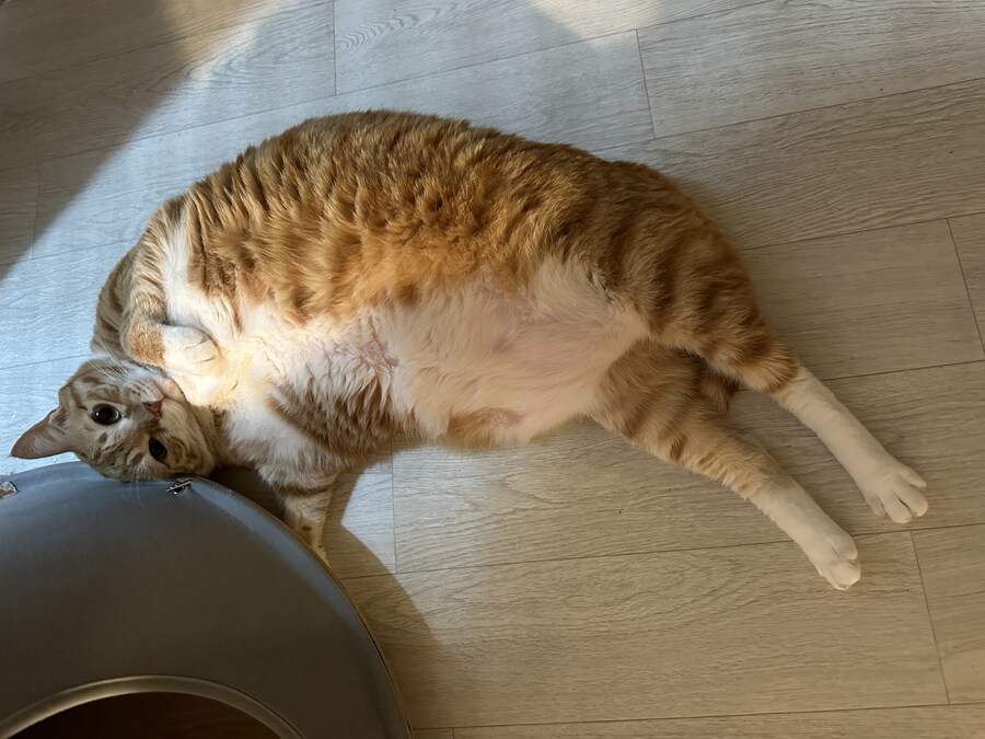 누굴 고를래?_3.jpg