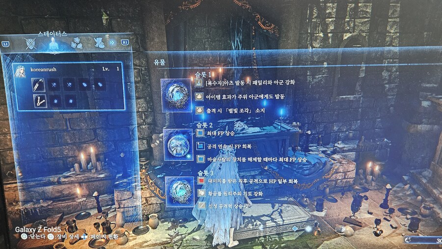 강화댕댕이 마지막날 2연승하고 끝냅니다. 복수자 신남검 난사 좋네요._4.jpg