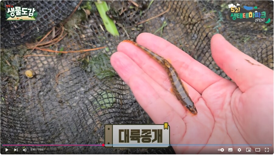 와 이런 학교 다녀보고 싶다_4.jpg