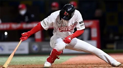 삼겹살 VS KBO_6.png