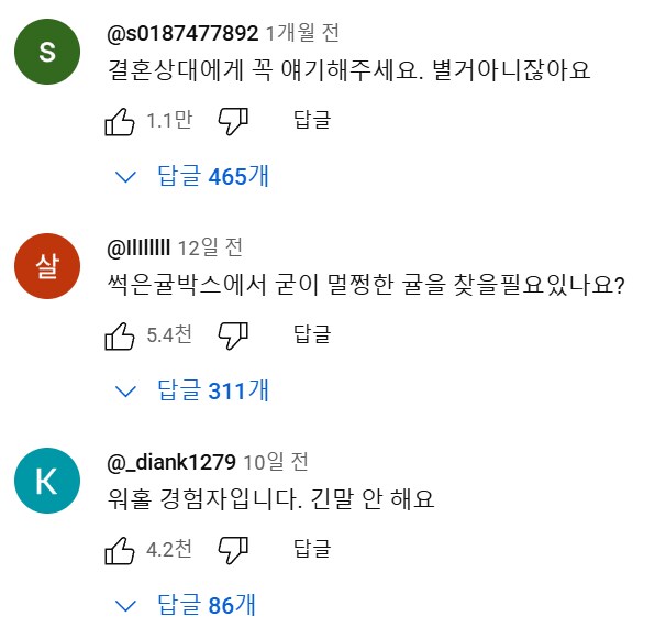 호주 워홀녀.....유튜브 댓글 대참사.jpg_6.png