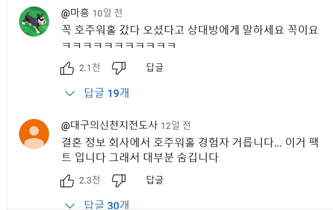 호주 워홀녀.....유튜브 댓글 대참사.jpg_8.png