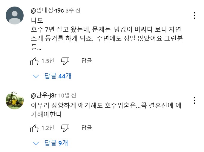 호주 워홀녀.....유튜브 댓글 대참사.jpg_10.png