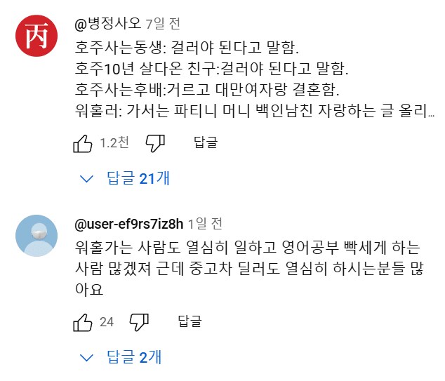 호주 워홀녀.....유튜브 댓글 대참사.jpg_11.png