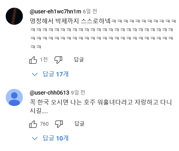 호주 워홀녀.....유튜브 댓글 대참사.jpg_12.png