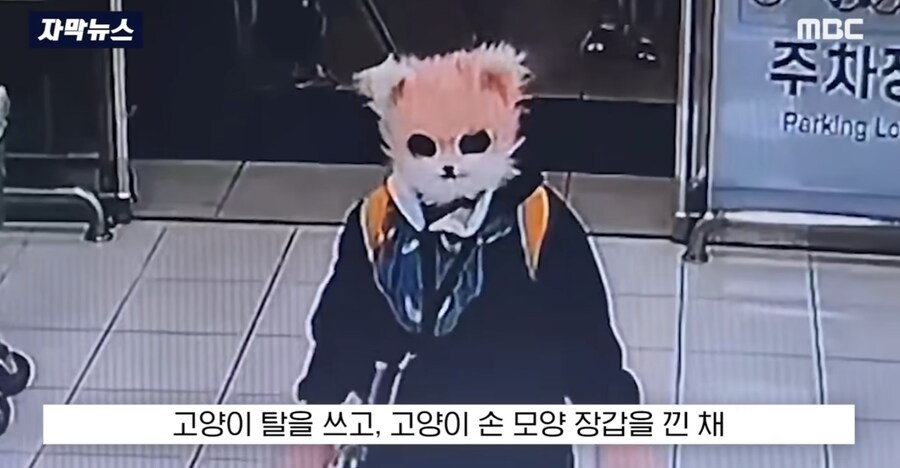 경남의 한 마트에서 고양이 탈을 쓴 쌍칼녀의 난동_1.jpg
