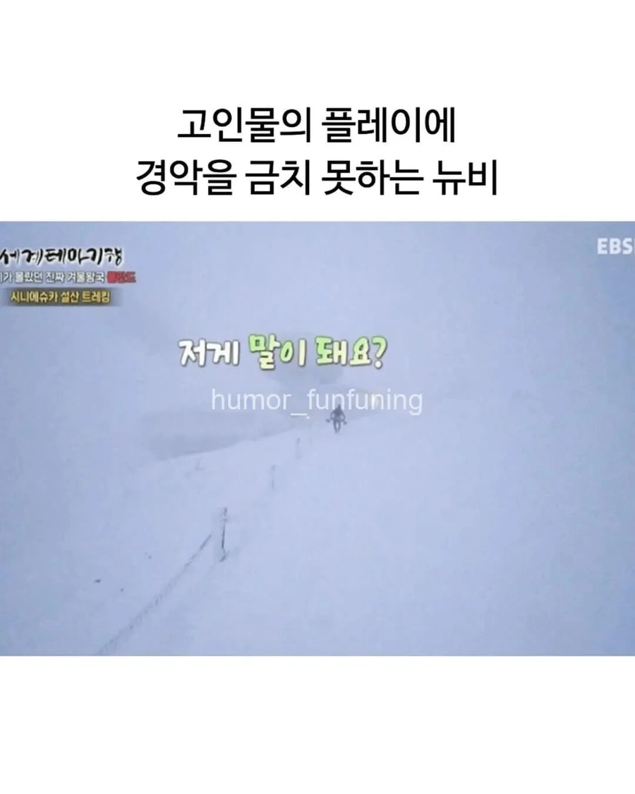 등산하다가 만난 고인물.jpg_10.webp