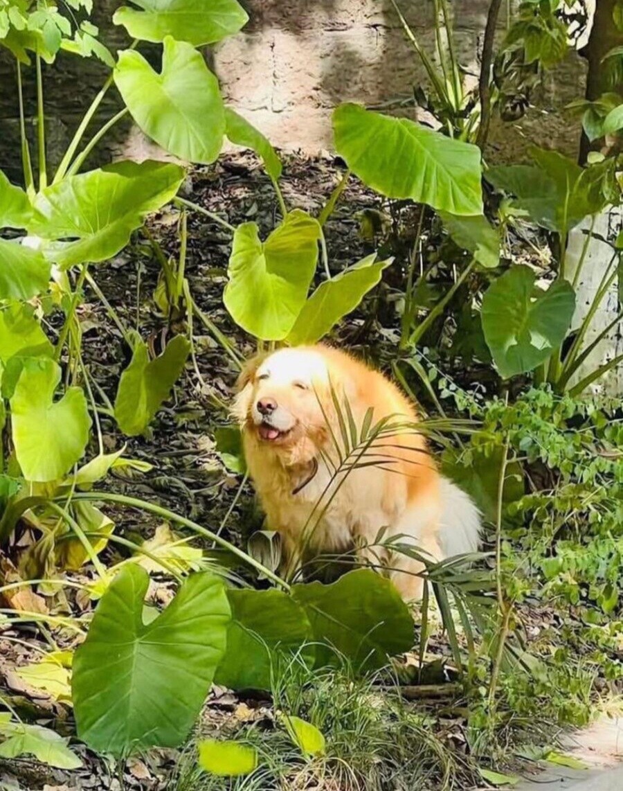 배변보고) 미사일 발사했어요_1.jpg